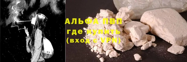 амф Инсар