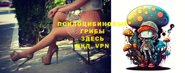 крисы Иннополис