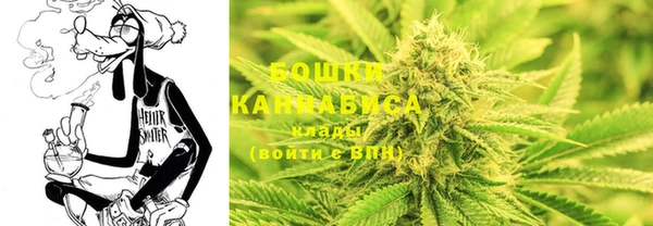крисы Иннополис
