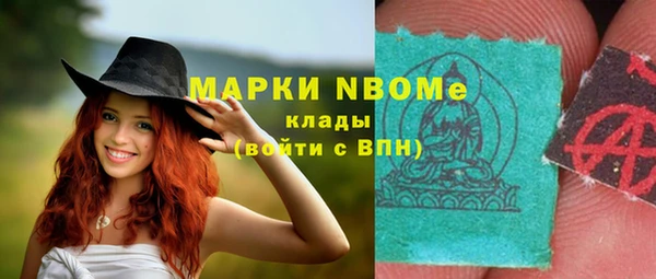 амф Инсар