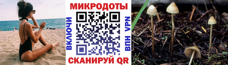Купить  Болохово  Галлюциногенные грибы мицелий 