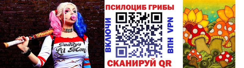 Псилоцибиновые грибы мицелий Болохово